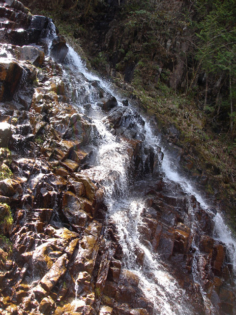 �ؑ]�X�ѓS����������� �ѓS �p���� �M���򋴗� �M����̑� �O�K�� �ؑ]