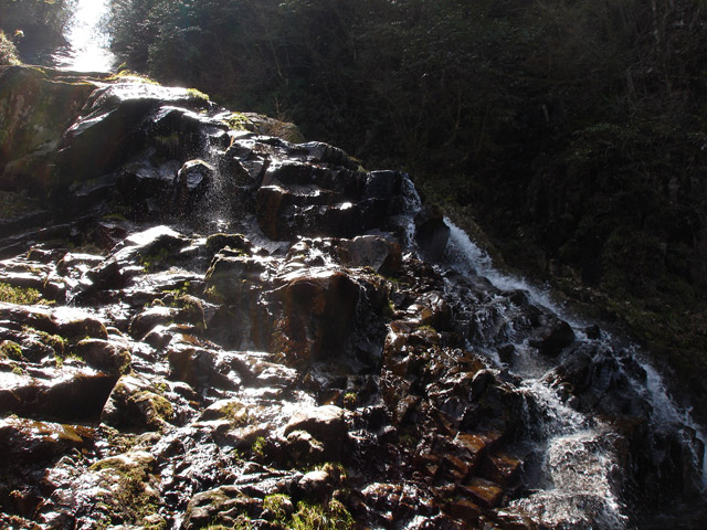 �ؑ]�X�ѓS����������� �ѓS �p���� �M���򋴗� �M����̑� �O�K�� ���ꑺ