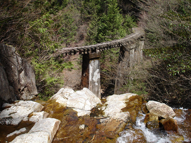 ��������X�ѓS�� �ѓS �p���� �M���򋴗� �i�e �؍މ^���O���� �O�K��