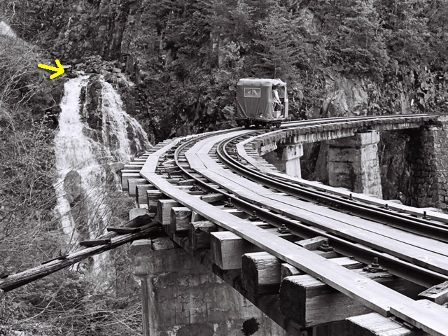 ��������X�ѓS�� �ѓS �M����̑� �M���򋴗� ���e ���ꑺ �O�K��