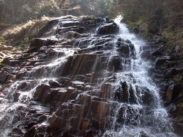 ��������X�ѓS�� �ѓS �M����̑� �M���򋴗� ���e �ؑ] �O�K��