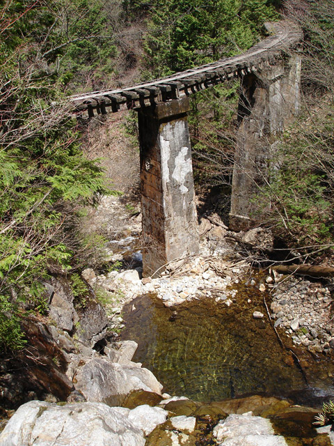 �ؑ]�X�ѓS����������� �ѓS �p���� �M���򋴗� �i�e �O�K�� ���