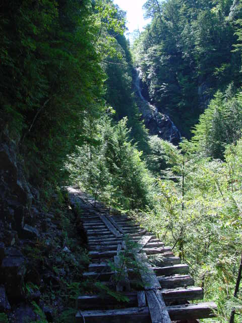 ������X�ѓS��,�ѓS,�p����,��r�ʐ^,�؋�,�i���[�O����,�M�P��,�O�K��