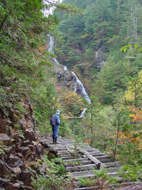 ��������X�ѓS��,�ѓS,�p����,�O�Y�F�V,�V��,�؍މ^���O����,�M�P��,�O�K��