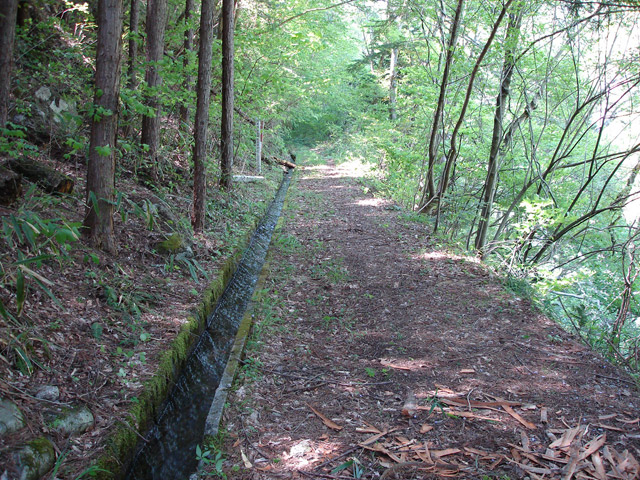 �ؑ]�X�ѓS��������,�ѓS,�p����,�؍މ^���O����,�H��,����