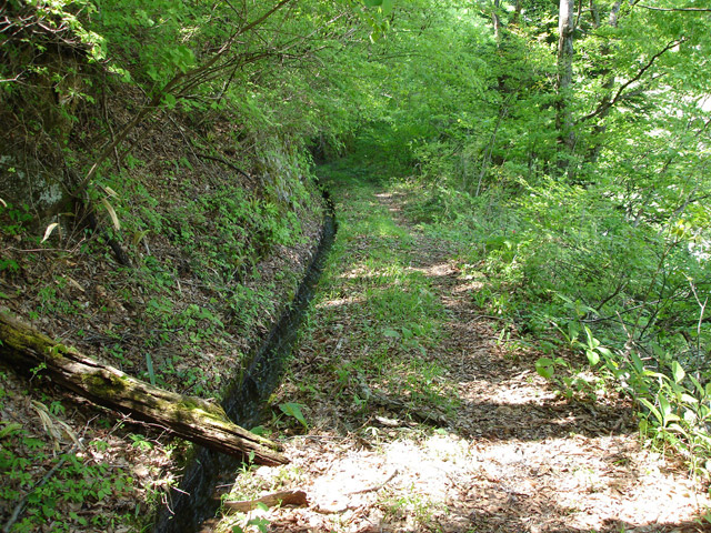 �ؑ]�X�ѓS��������,�ѓS,�p����,�؍މ^���O����,�H��,����