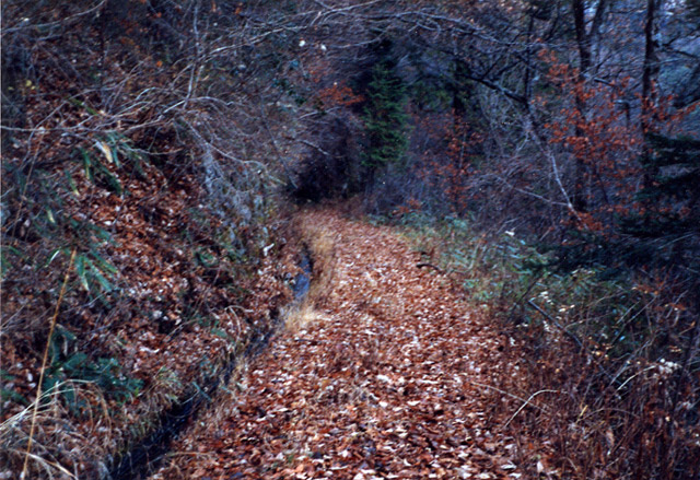 �ؑ]�X�ѓS��������,�ѓS,�p����,�؍މ^���O����,�H��,����