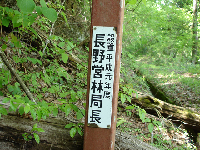 �ؑ]�X�ѓS��������,�ѓS,�p����,�i���[�O����,�W��,����c�ыǒ�