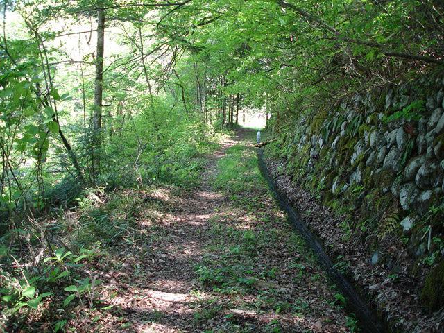 �ؑ]�X�ѓS��������,�ѓS,�p����,�g���b�R�O����,�����k�J,�Ί_