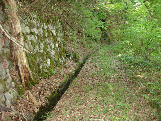 �ؑ]�X�ѓS��������,�ѓS,�p����,�g���b�R�O����,�����k�J,�Ί_