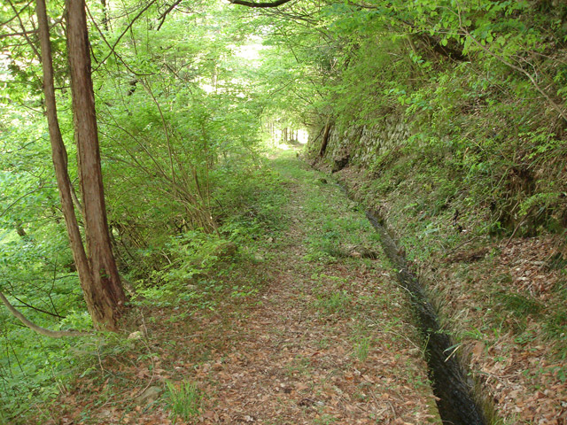 �ؑ]�X�ѓS��������,�ѓS,�p����,�i���[�O����,�����k�J,2�t�B�[�g6�C���`