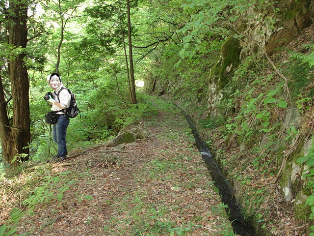 �ؑ]�X�ѓS��������,�ѓS,�p����,��K��,�����k�J,�y�؋O��