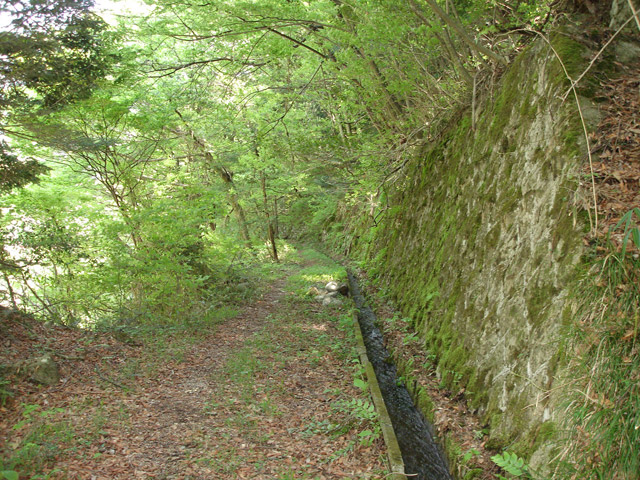 �ؑ]�X�ѓS��������,�ѓS,�p����,�ѓ�,�����k�J,�Ί_