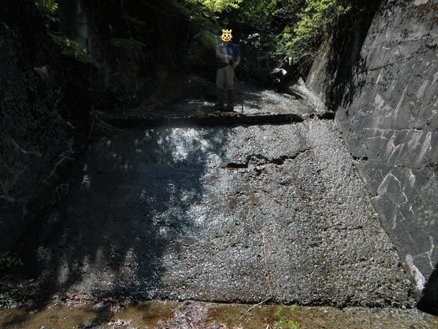 �ؑ]�X�ѓS��������,�ѓS,�p����,����,�����k�J,���H