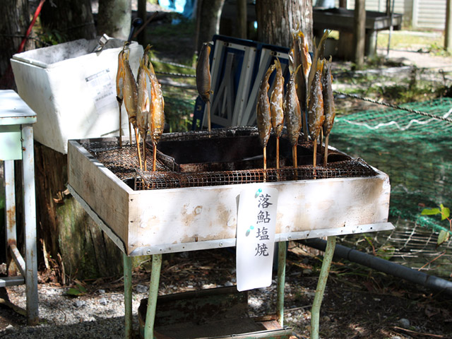 �ؑ]�X�ѓS��������,�ѓS,�p����,�����k�J�L�����v��,�k���ԏ�,������