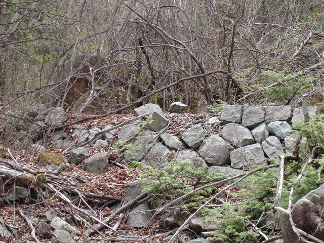 �����X�ѓS���u�������5�������[�ѓ��������v