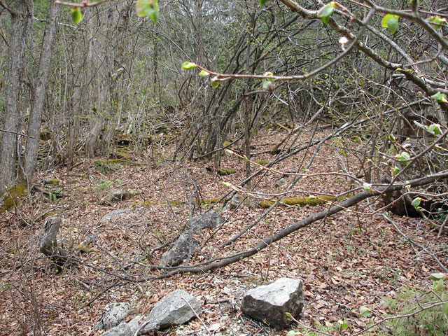 �����X�ѓS���u�������5�������[�ѓ��������v