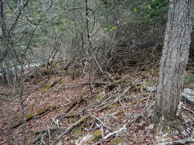 �����X�ѓS���u�������5�������[�ѓ��������v