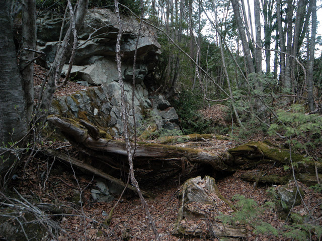 �����X�ѓS���u�������5�������[�ѓ��������v