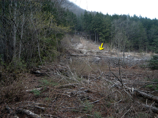 �����X�ѓS���u�������5�������[�ѓ��������v