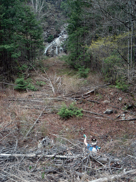 �����X�ѓS���u�������5�������[�ѓ��������v