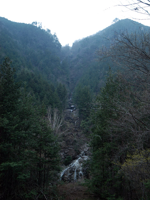 �����X�ѓS���u�������5�������[�ѓ��������v