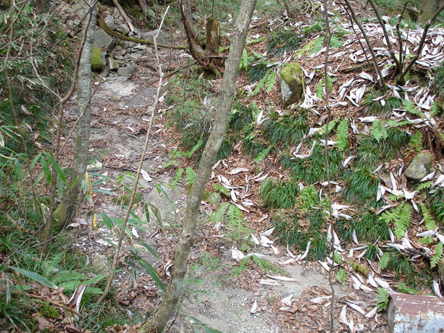 �����X�ѓS���u�������؎��Ə��v