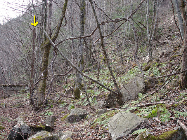 �����X�ѓS���u���񖔑򋴗��[�������6�������v