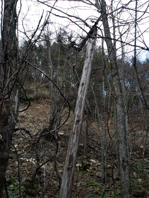 �����X�ѓS���u���񖔑򋴗��[�������6�������v