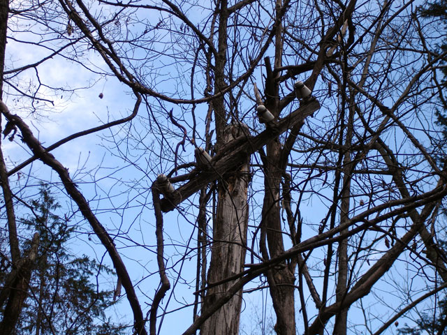 �����X�ѓS���u���񖔑򋴗��[�������6�������v