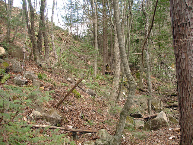 �����X�ѓS���u���񖔑򋴗��[�������6�������v