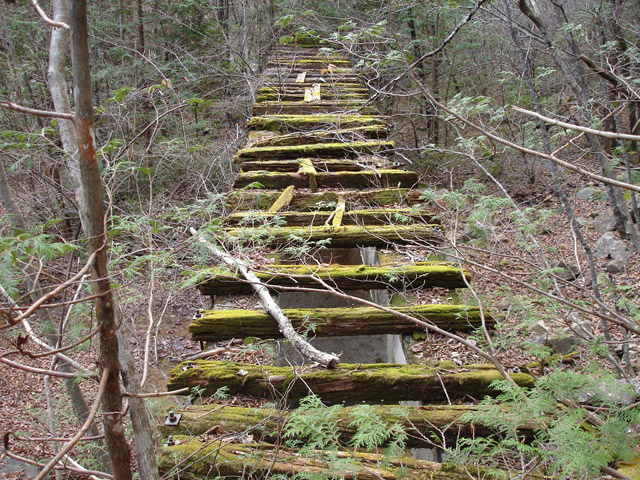 �����X�ѓS���u�������6�������v