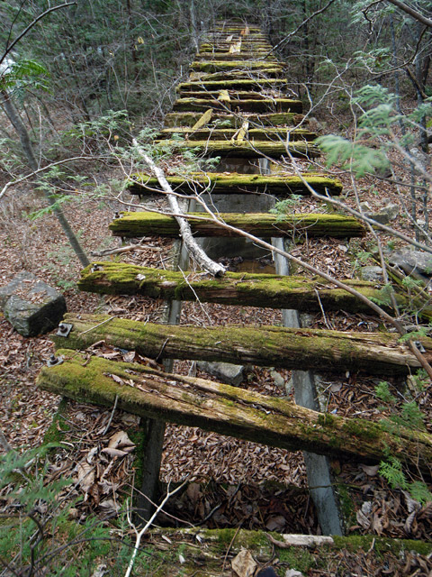 �����X�ѓS���u�������6�������v