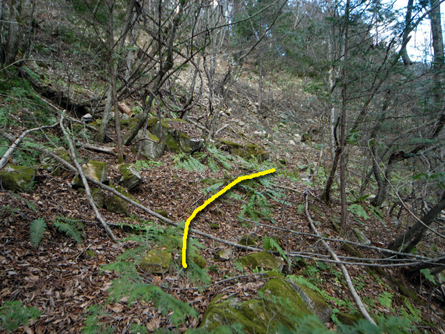 �����X�ѓS���u�������6�������v