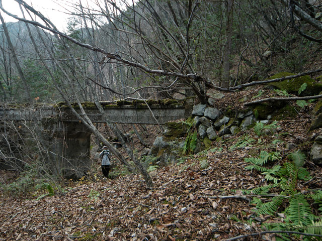 �����X�ѓS���u�������6�������v