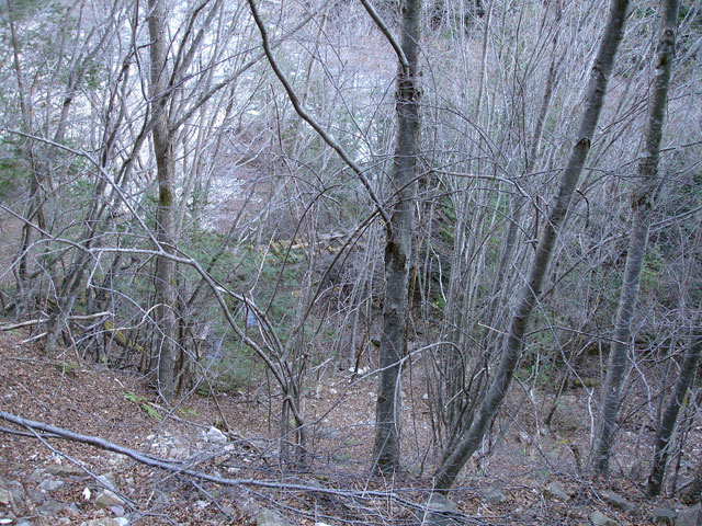 �����X�ѓS���u�������6�������v