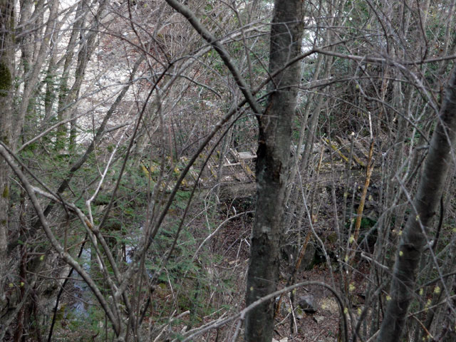 �����X�ѓS���u�������6�������v