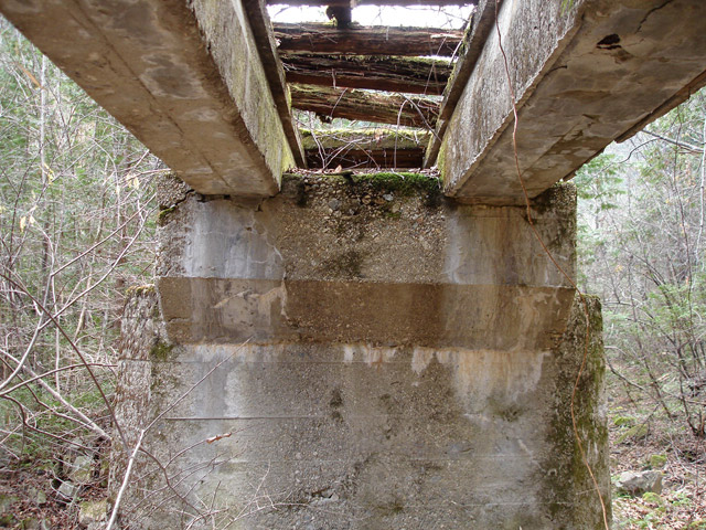 �����X�ѓS���u�������6�������v