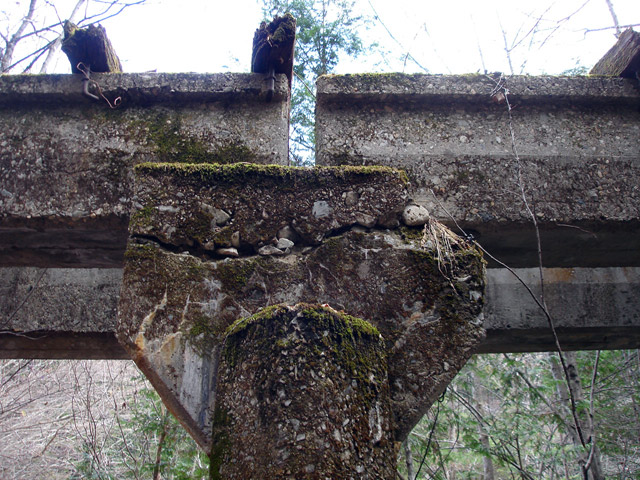 �����X�ѓS���u�������6�������v