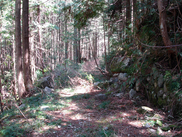 �����X�ѓS���u�������6�������[���򋴗��v