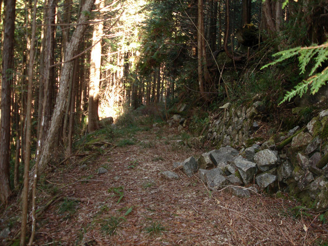 �����X�ѓS���u�������6�������[���򋴗��v