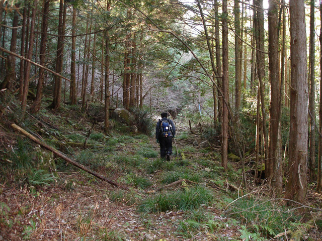 �����X�ѓS���u�������6�������[���򋴗��v