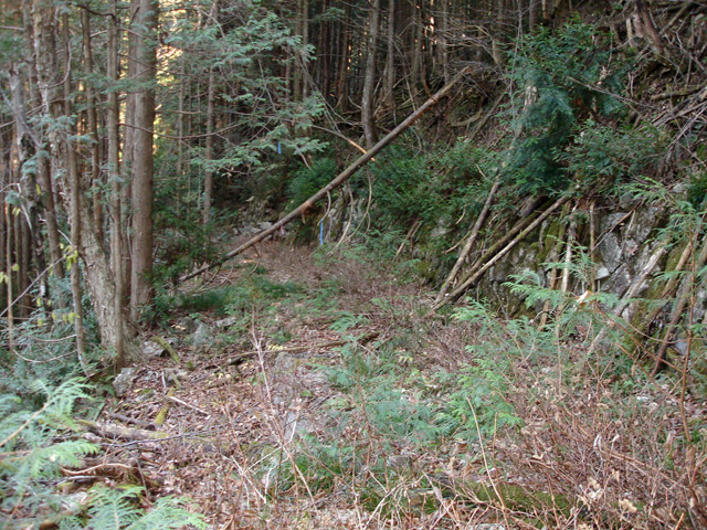 �����X�ѓS���u�������6�������[���򋴗��v