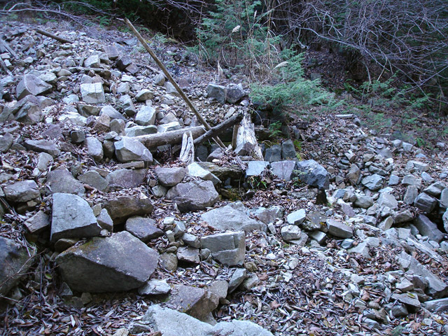 �����X�ѓS���u�������6�������[���򋴗��s�K������t�v