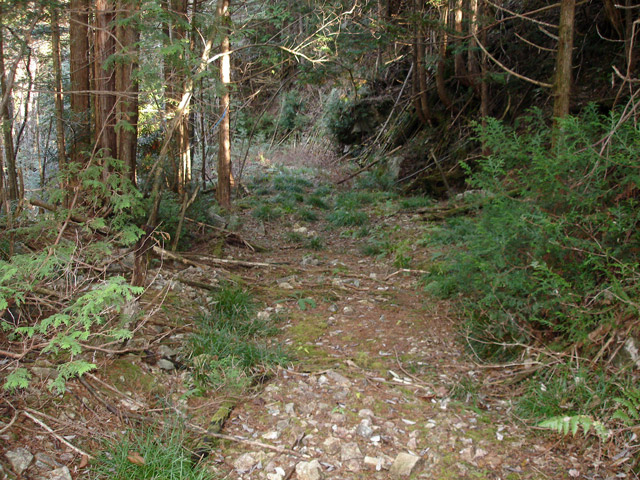 �����X�ѓS��,�K����,�؋�,����