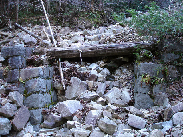 �����X�ѓS���u�������6�������[���򋴗��s�K������t�v