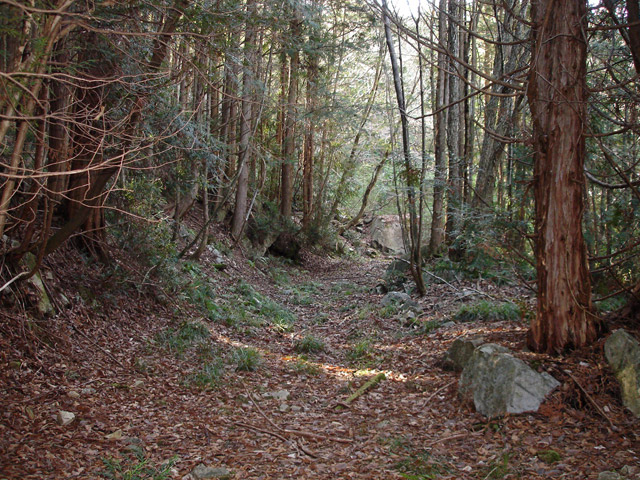 �����X�ѓS���u�K������[���򋴗��v