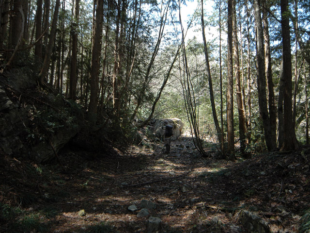 �����X�ѓS���u�K������[���򋴗��v