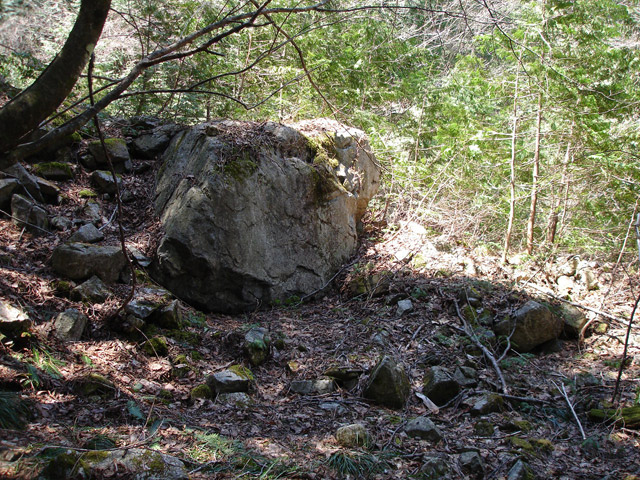 �����X�ѓS���u�K������[���򋴗��v