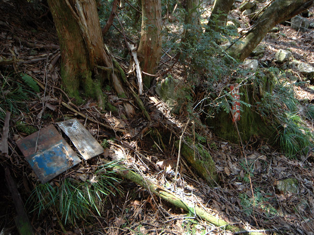 �����X�ѓS���u�K������[���򋴗��v